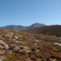 Apple Canyon Campground ico