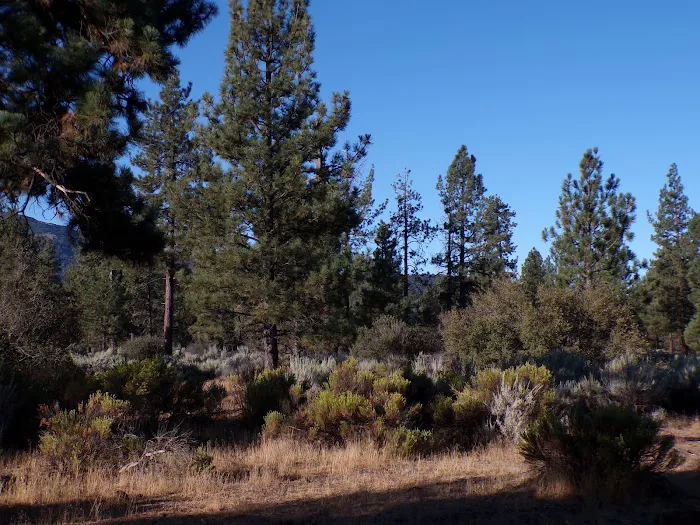 Apple Canyon Campground Picture 4