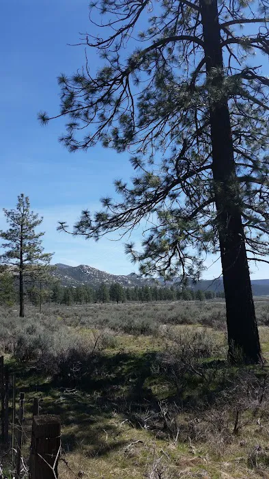 Apple Canyon Campground Picture 8