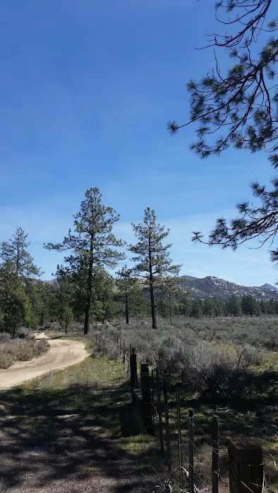 Apple Canyon Campground Picture 9