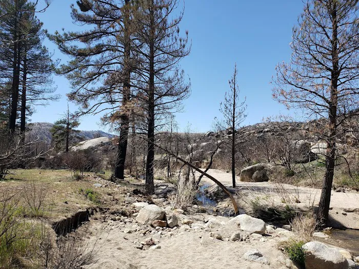 Apple Canyon Yellow Post Camp Site #3 Picture 3