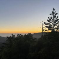 South Ridge Yellow Post ico