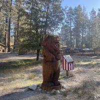 Camp Emerson BSA Reserve ico