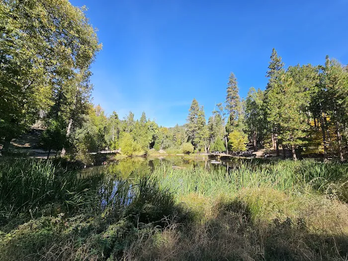 Camp Emerson BSA Reserve Picture 4