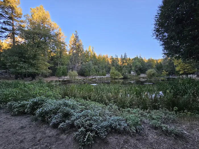Camp Emerson BSA Reserve Picture 8