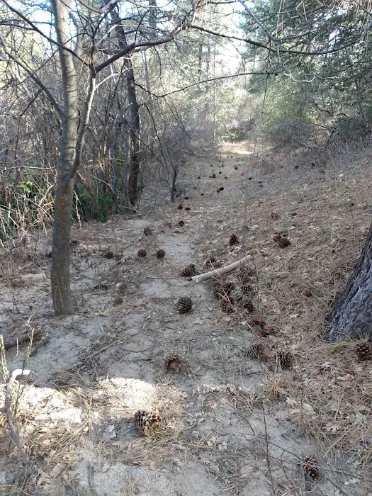 Idyllwild County Park Entrance Picture 3