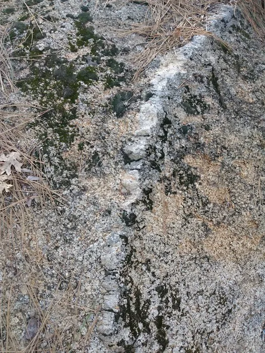 Idyllwild County Park Entrance Picture 6