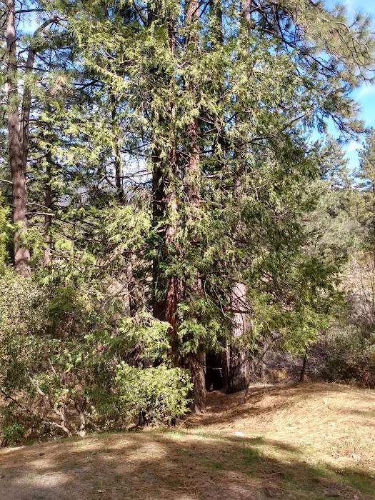 Idyllwild County Park Entrance Picture 9