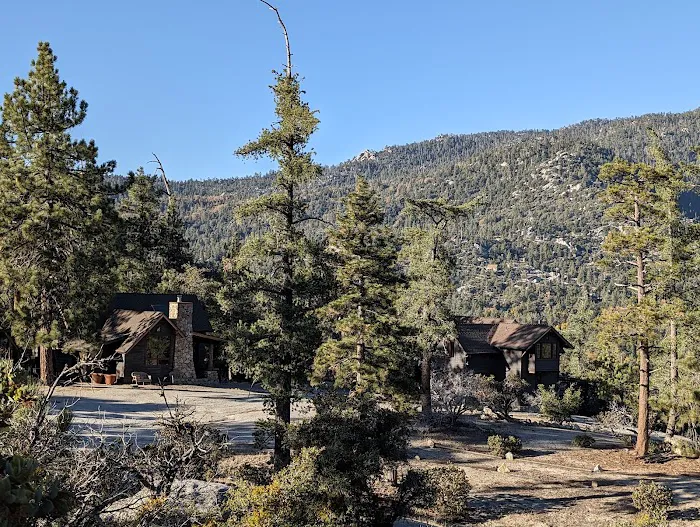 Idyllwild Campground Picture 2
