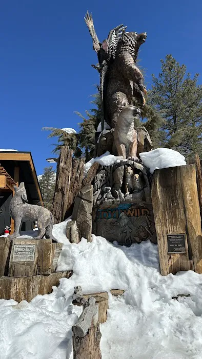 Idyllwild Campground Picture 3