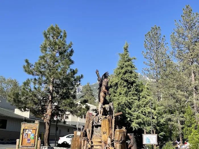 Idyllwild Campground Picture 7