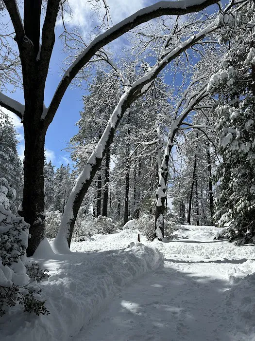 Idyllwild Campground Picture 9