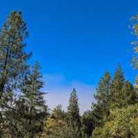 Centennial Oak campground ico