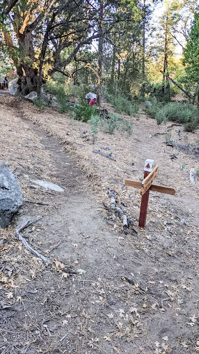 Centennial Oak campground Picture 5