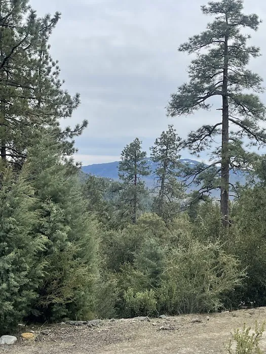 Diamonds Ranch Picture 1