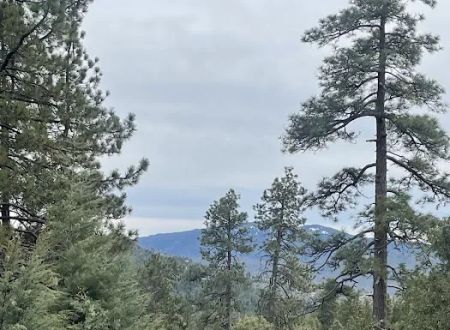 Diamonds Ranch