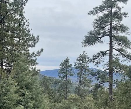 Diamonds Ranch