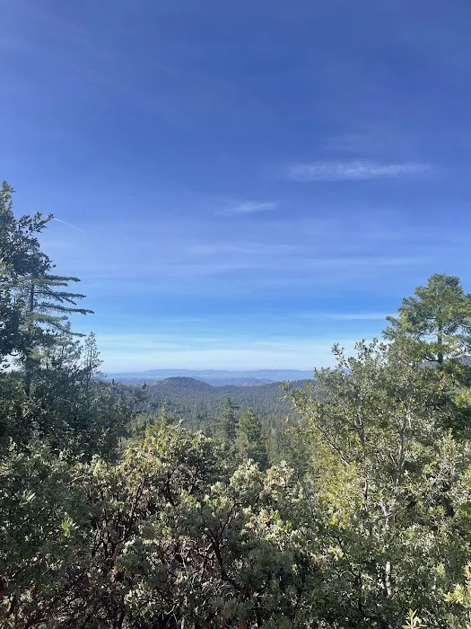 Diamonds Ranch Picture 2