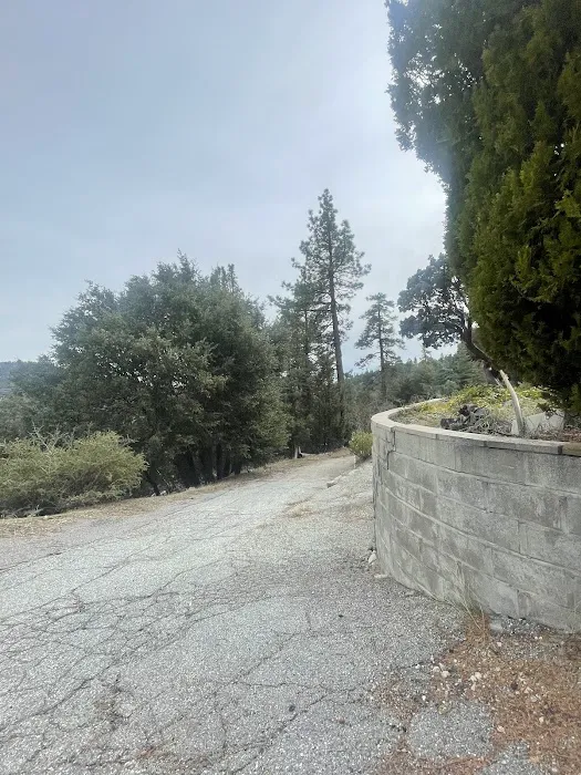 Diamonds Ranch Picture 5