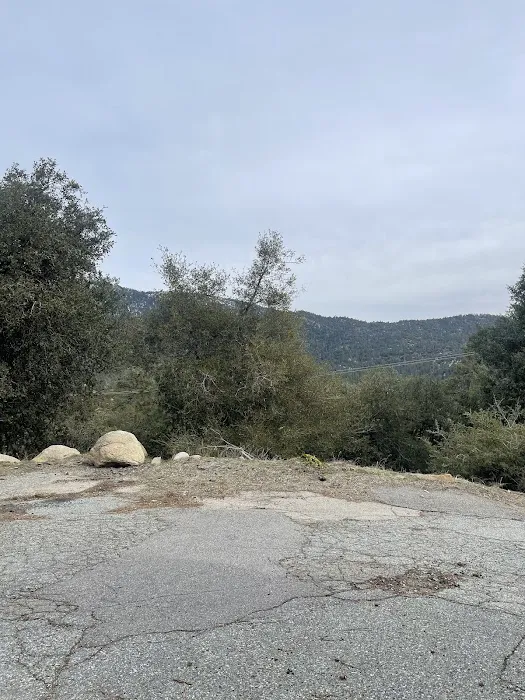 Diamonds Ranch Picture 6