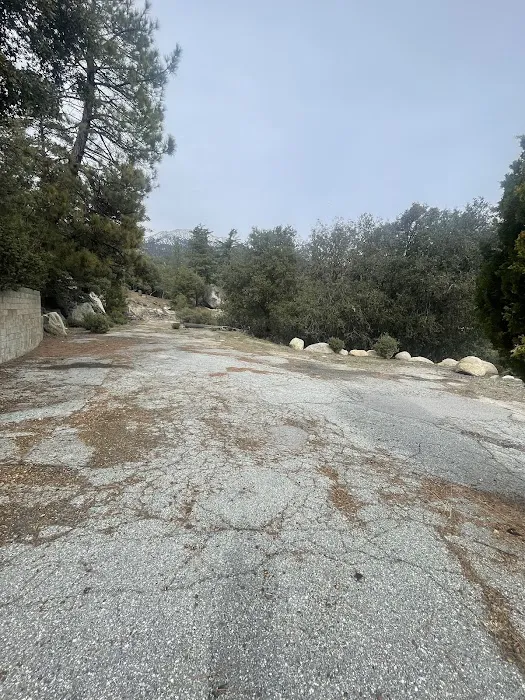 Diamonds Ranch Picture 7