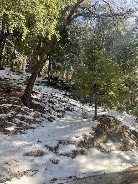 Diamonds Ranch Picture 9