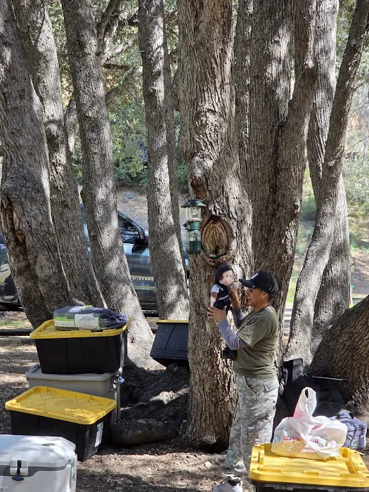 Limestone Campground Picture 8