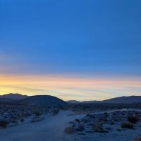 Hollywood-Vine Campsite ico
