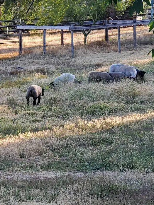 Victory Ranch Picture 9