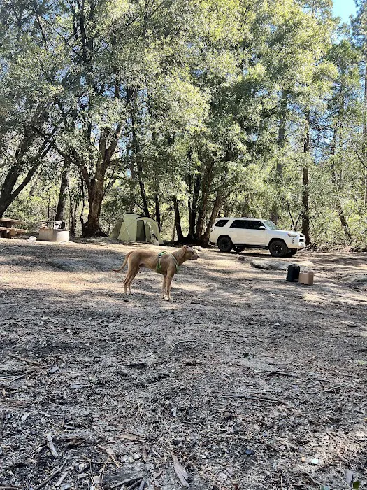 Stone Creek Yellow Post Sites Picture 2