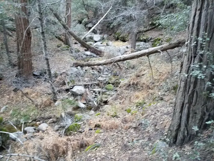 Stone Creek Yellow Post Sites Picture 10
