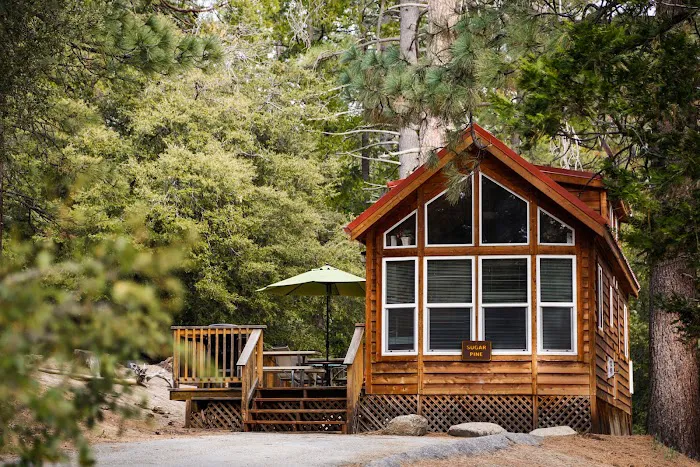 Thousand Trails Idyllwild Picture 2