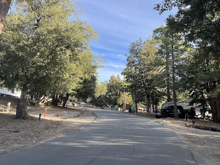 Thousand Trails Idyllwild Picture 6