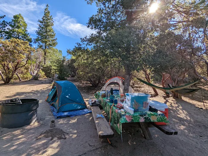 Stone Creek Campground Picture 2