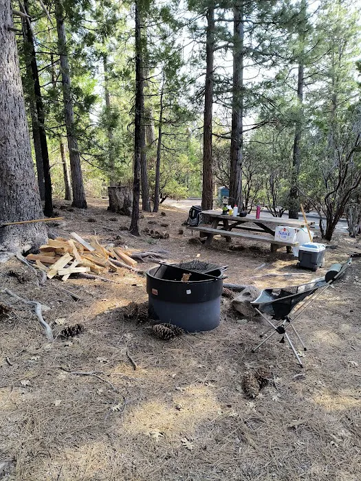 Stone Creek Campground Picture 5
