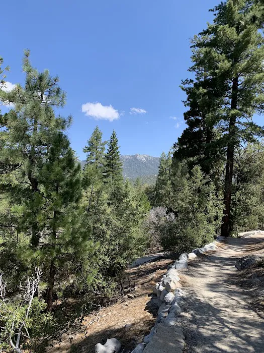 Stone Creek Campground Picture 4
