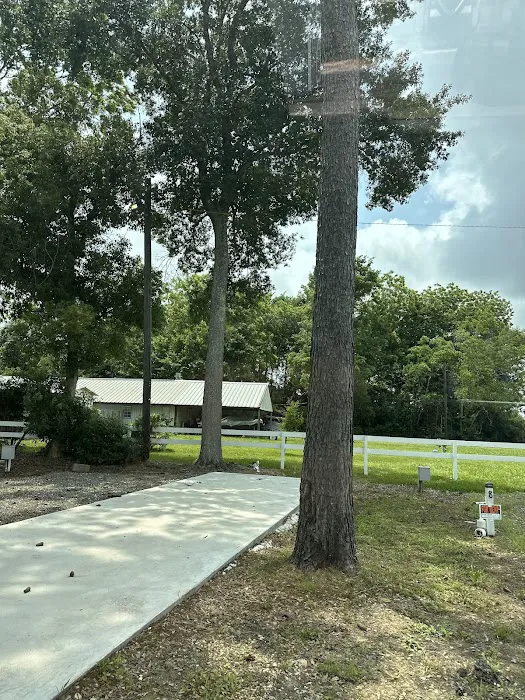 Winnie rv park Picture 1