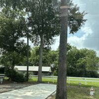 Winnie rv park ico