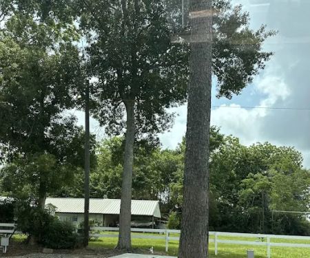 Winnie rv park