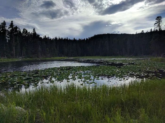 Peaceful Valley Campground Picture 6