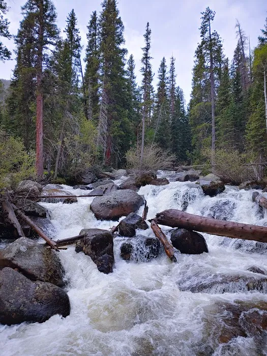 Pine Ridge backcountry site #1 Picture 2