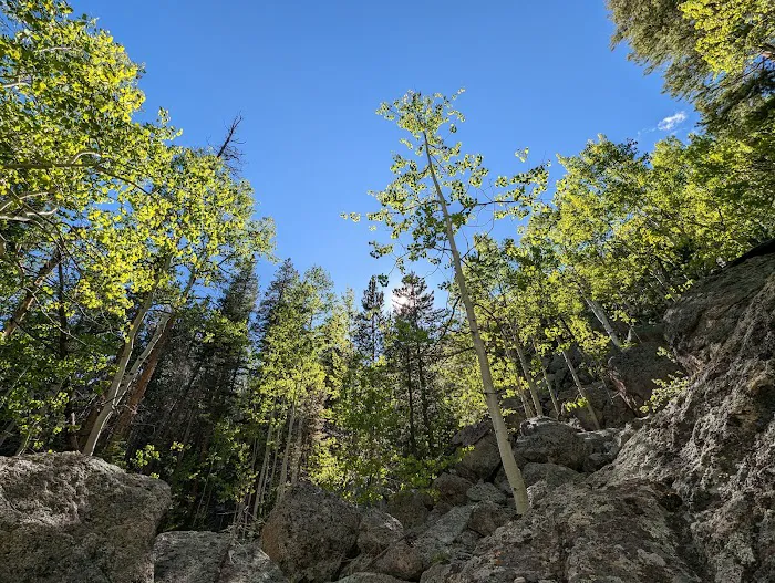 Pine Ridge backcountry site #1 Picture 6
