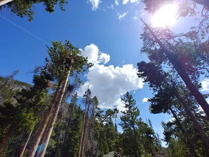 Pine Ridge backcountry site #1 Picture 9