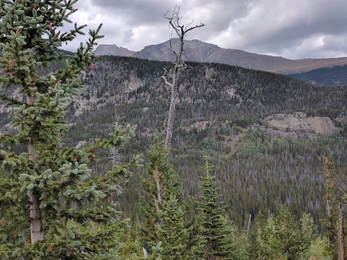 Aspen Knoll Picture 5