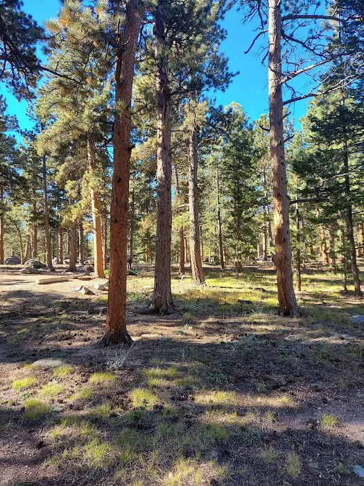 Olive Ridge Campground Picture 4