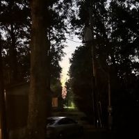 Splendora Pines ico