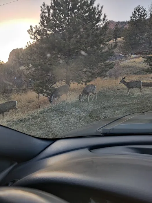Lost Burro Campground Picture 9