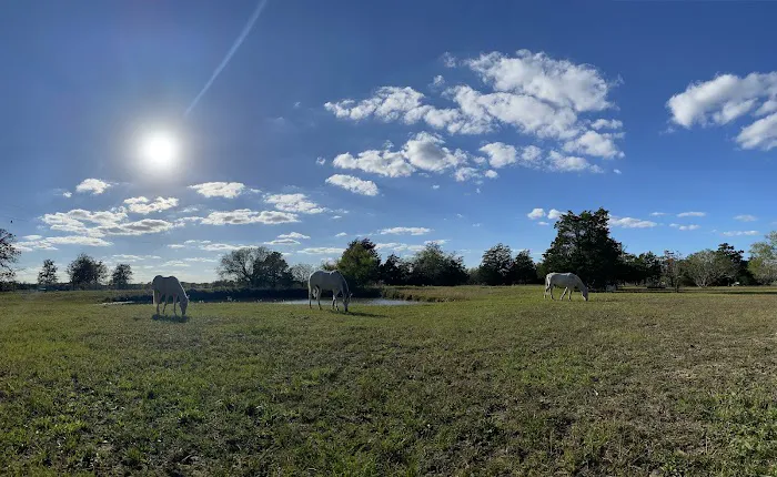 White Horse Ranch and Camping Picture 1