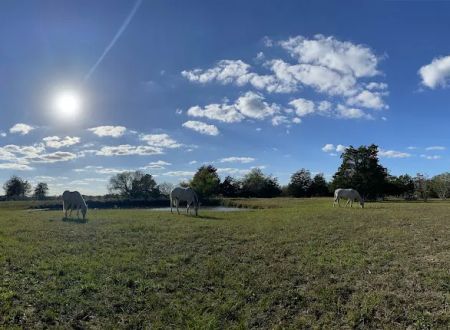 White Horse Ranch and Camping