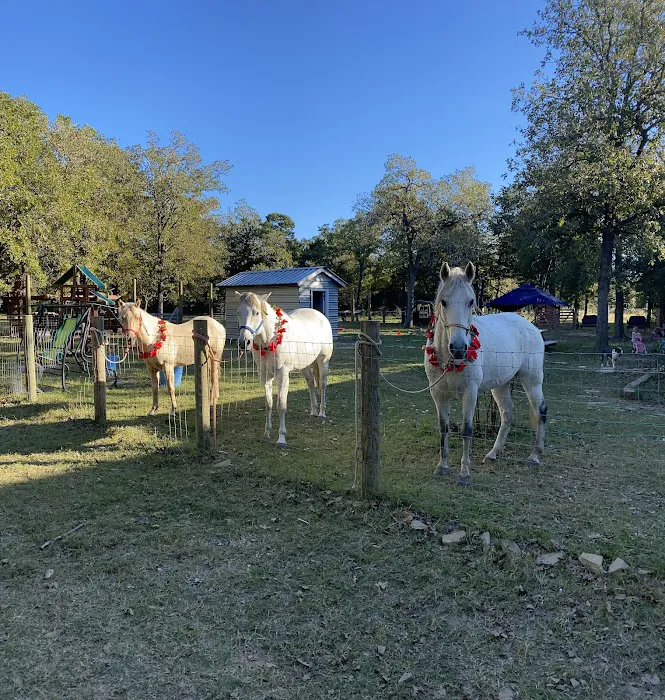 White Horse Ranch and Camping Picture 2